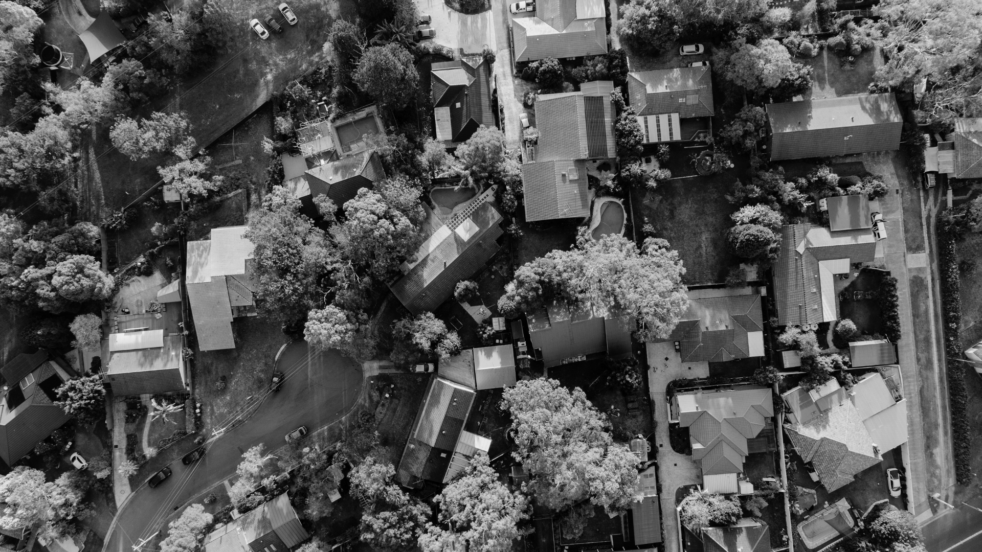 Vista aérea de casas y copas de árboles